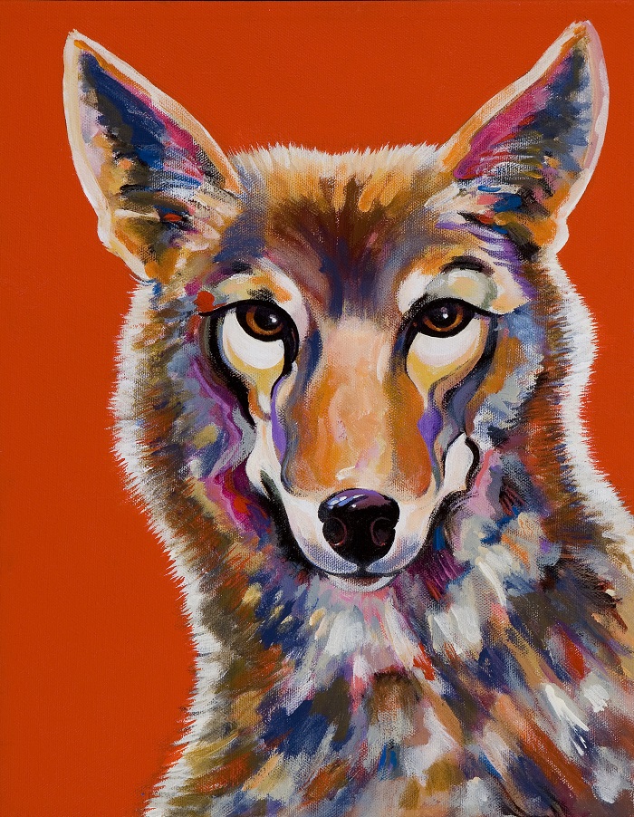 coyote by bob coonts