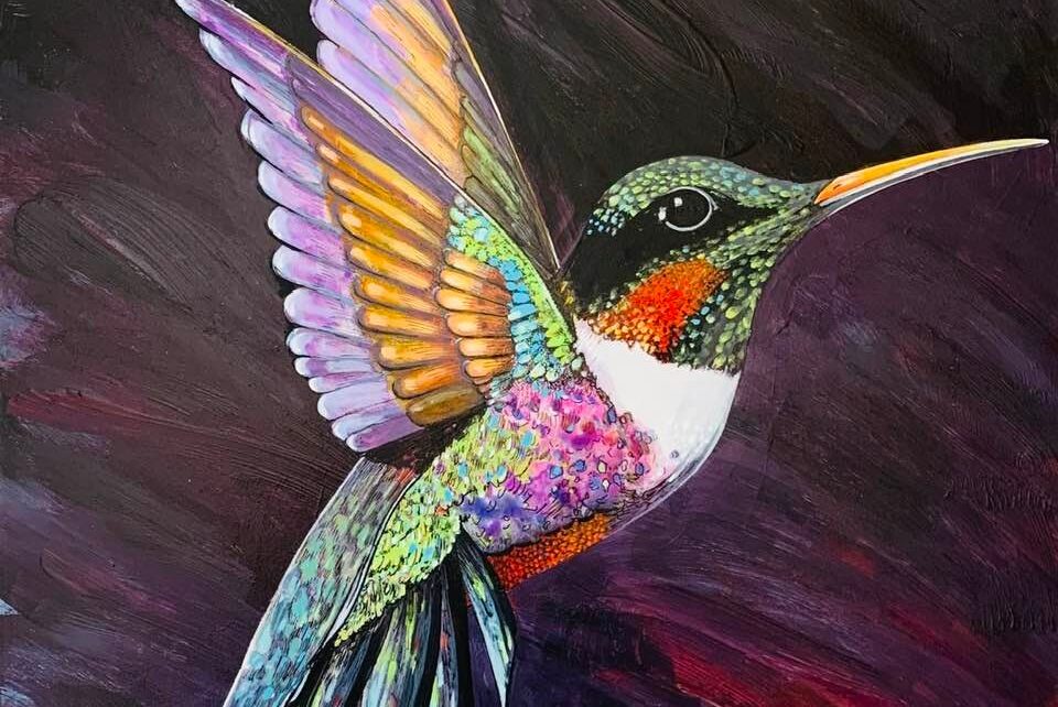 hummingbird by bob coonts