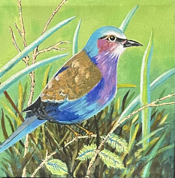 Lilac Breaster Roller